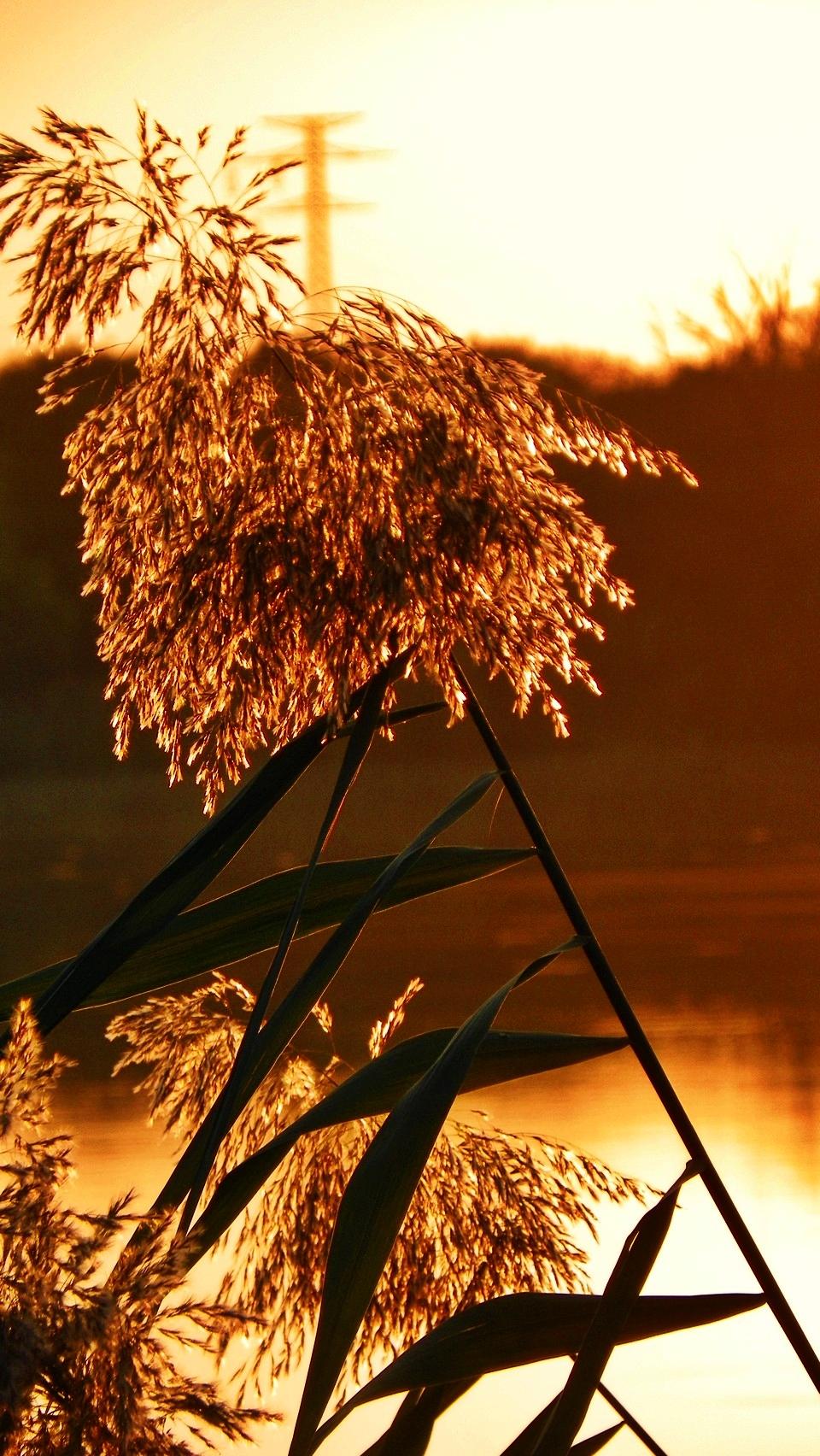 Sunset - 10090551.JPG